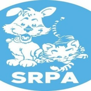 témoignage SRPA